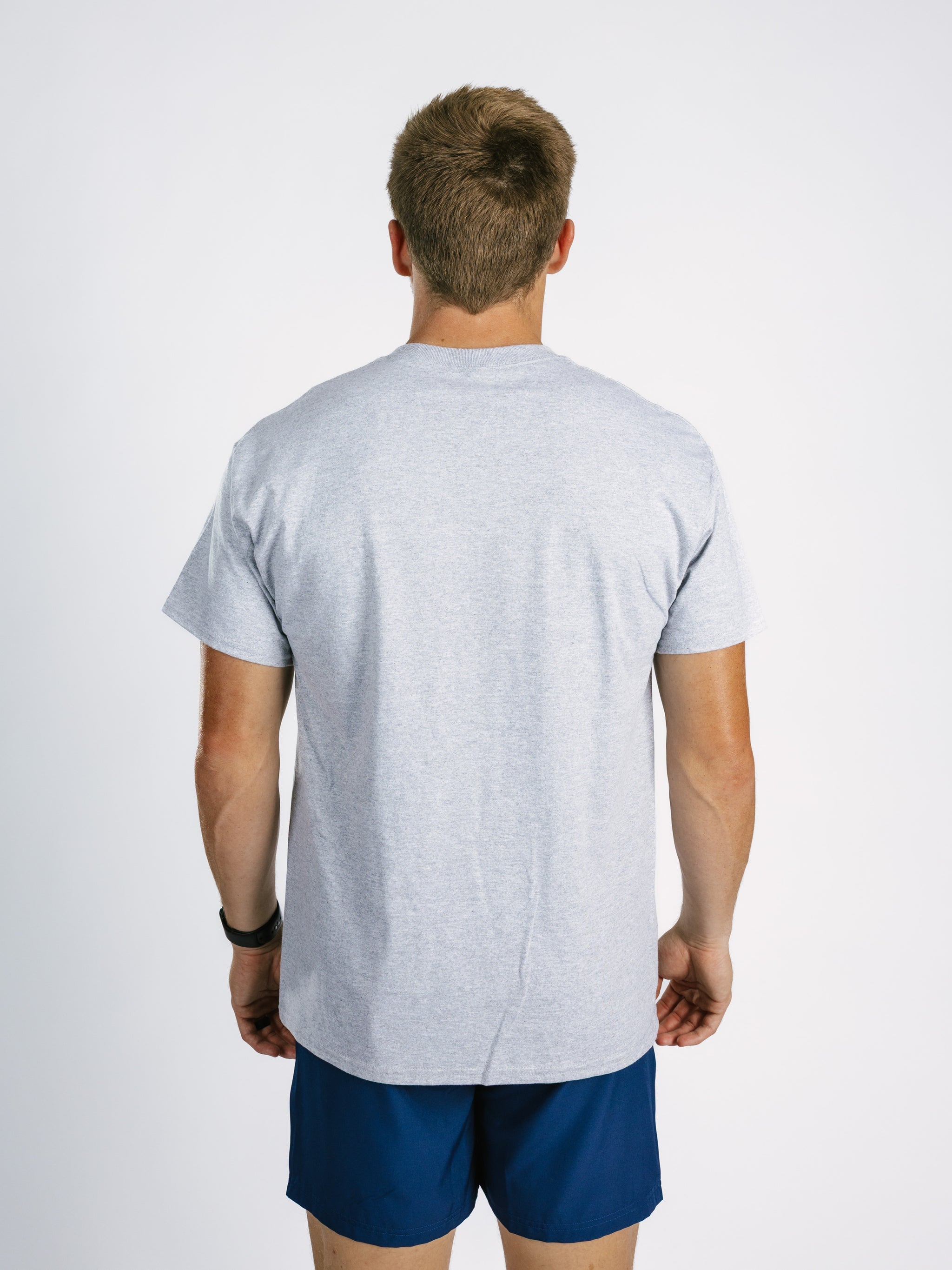 Grey Eagle Head Tee